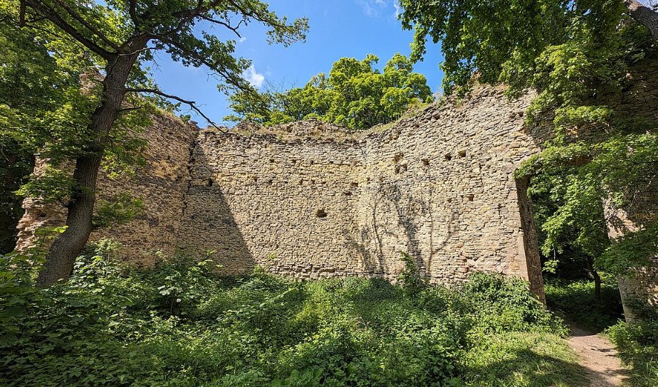 Domburg Hakel, Selke-Aue, Germany, Germany